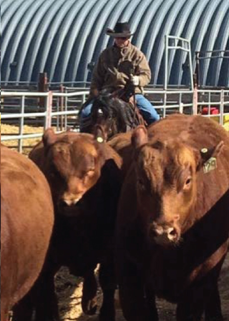 V8U-Ranch-Red-Angus-Our-Ranch-Photo-Home