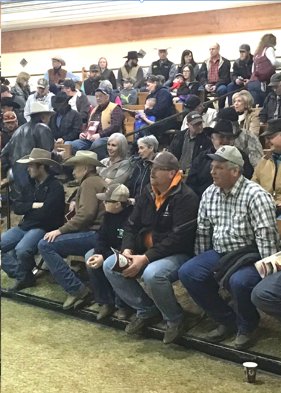V8U-Ranch-Red-Angus-Upcoming-Events-Photo-Home